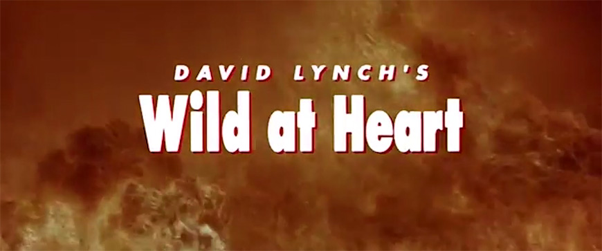wild at heart 1990 cd cover
